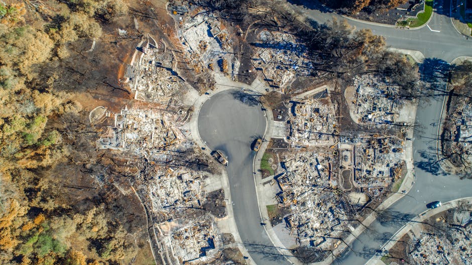 wildfire aftermath - Post-Fire Recovery & Resources